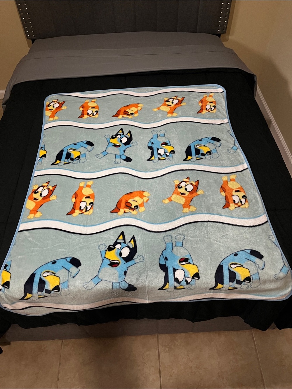 Bluey Kids' Cartoon Character Throw Blanket - Soft Plush
